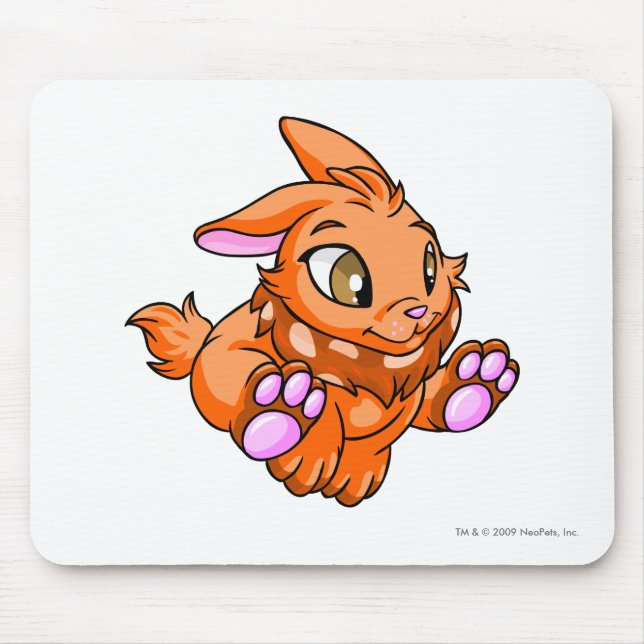Cybunny orange musmatta (Framsidan)