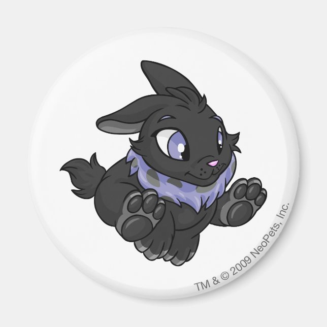 Cybunny Shadow Magnet (Framsidan)