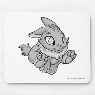 Cybunny silver musmatta