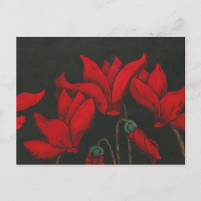 "Cycalman"-Blommigt vykort (Framsida)