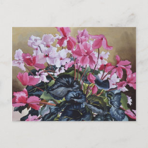 Cyclamen 2004 vykort