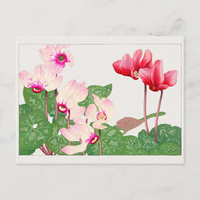 Cyclamen av Tanigami Konan Vykort (Framsida)