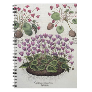Cyclamen: foliishederaceis för serotinum anteckningsbok