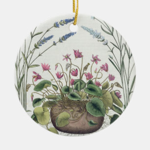 Cyclamen och lavendel: 1.Cyclamen Romanum; 2.Spica Julgransprydnad Keramik