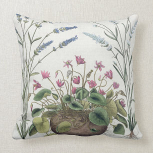 Cyclamen och lavendel: 1.Cyclamen Romanum; 2.Spica Kudde