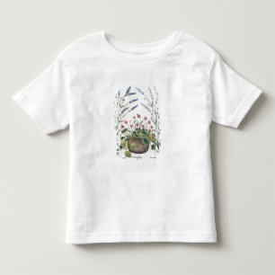 Cyclamen och lavendel: 1.Cyclamen Romanum; 2.Spica Tee Shirt