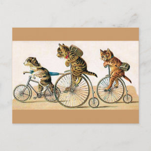 Cycle Ride Vykort