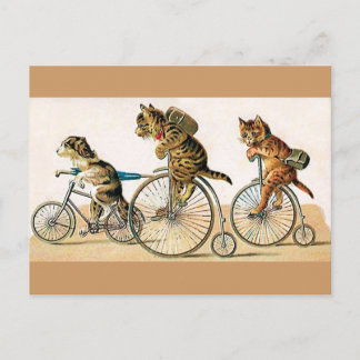 Cycle Ride Vykort