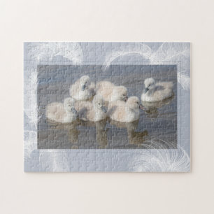 Cygnet & Feathers Puzzle Pussel