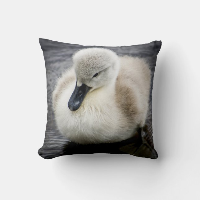Cygnet för babysvan | kudde (Framsida)