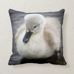 Cygnet för babysvan   kudde