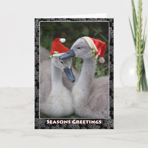 Cygnet-julkort Helgkort