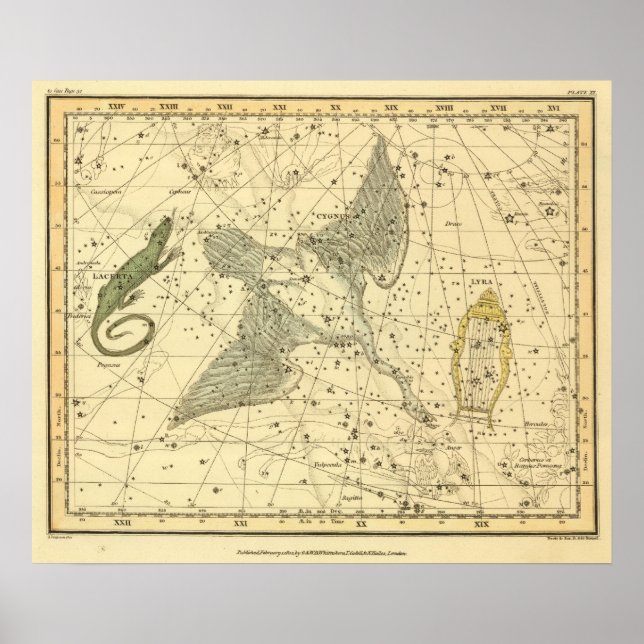 Cygnus, Laceria och Via Lactea Poster (Framsidan)