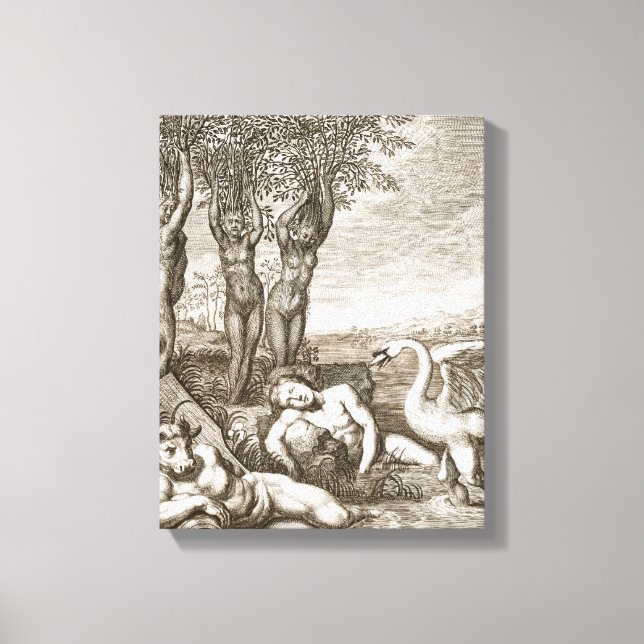 Cygnus omvandlat till Svan och Phaetons Siste Canvastryck (Framsida)