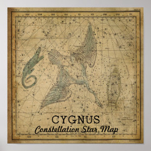 Cygnus Svan Constellation Star Karta Poster