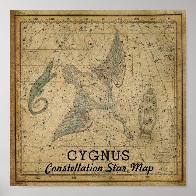 Cygnus Svan Constellation Star Karta Poster (Framsidan)