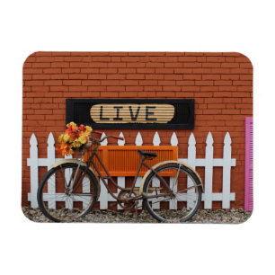 Cykel lever fortfarande magnet