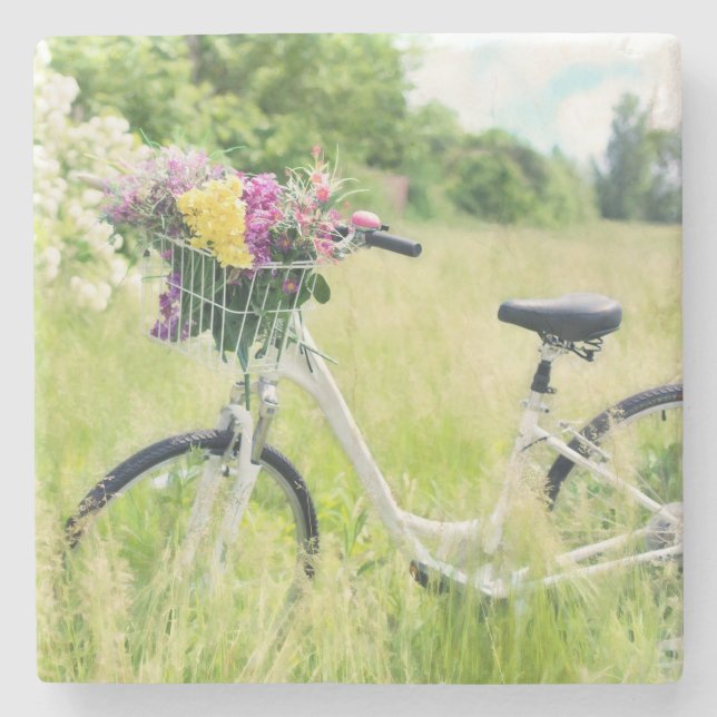 Cykel med blomkruka på ängen stenunderlägg (Framsidan)
