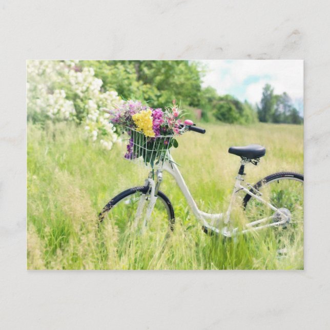 Cykel med blommor vykort (Framsida)
