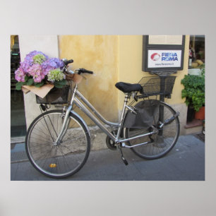 Cykel med korg av hortensior poster