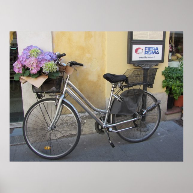 Cykel med korg av hortensior poster (Framsidan)