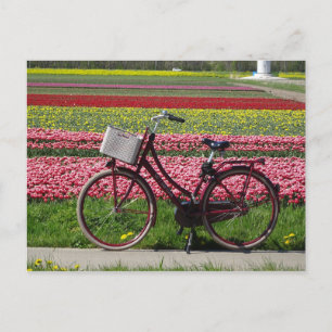 Cykel på Tulips Fält DIY-vykort Vykort