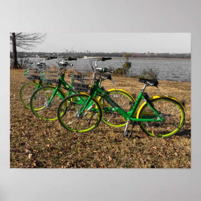 Cykel Tripletter Poster (Framsidan)