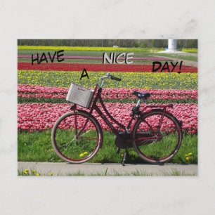 Cykeln i Tulips Fält har ett vykort för Nicedagen