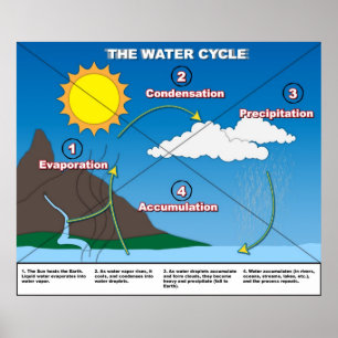 Cykeln Vatten Poster
