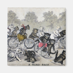 Cykelridningkatter Magnet