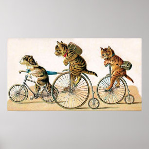 Cykelritt Poster