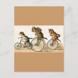 Cykeltur Vykort