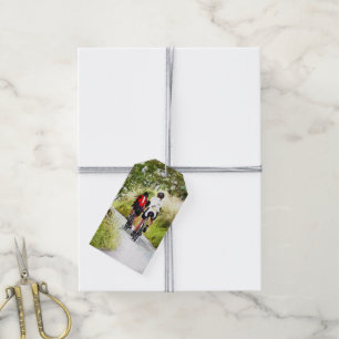 CYKLA PRESENTETIKETT