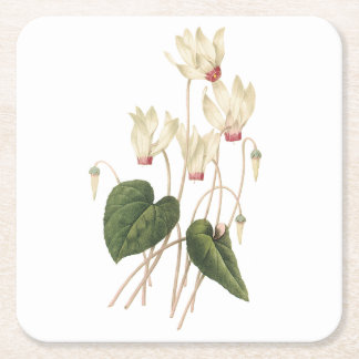 cyklamen(Cyclamen sp.) från Redouté Underlägg Papper Kvadrat
