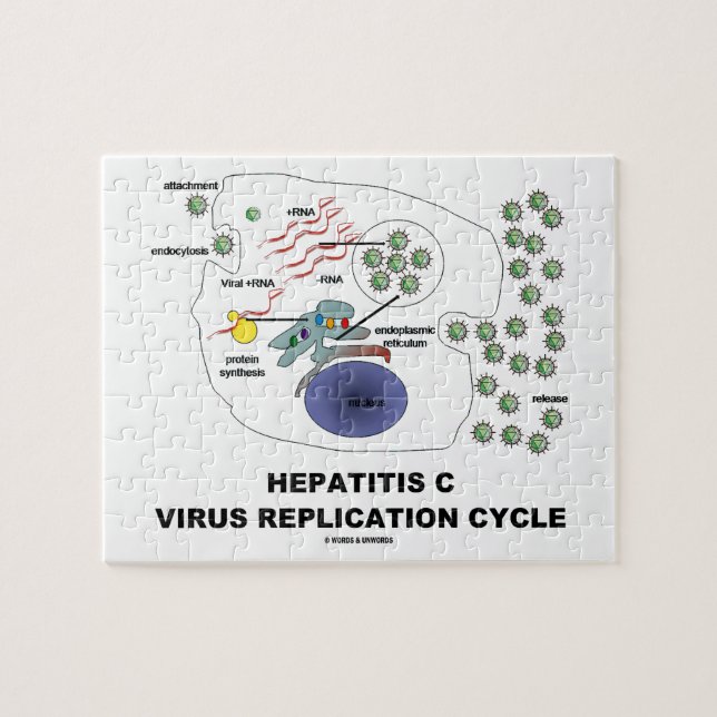 Cyklar den virus- replicationen för hepatit C Pussel (Horisontell)