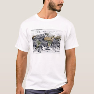 Cylindrisk equidistant projektion t shirt