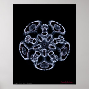 Cymatics: Musik noterar C Poster