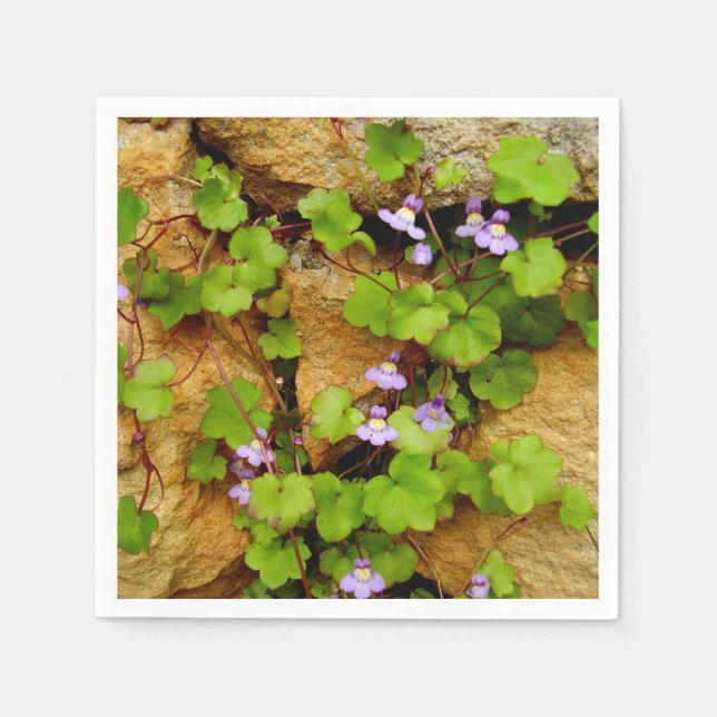 Cymbalaria Muralis Pappra Napkins Pappersservett (Framsidan)