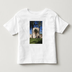 Cymbalista synagoga tee shirt
