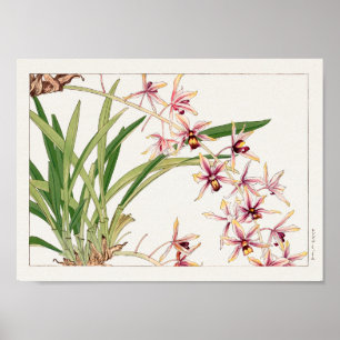Cymbidium av Tanigami Konan Poster