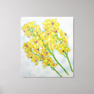 Cymbidium Orchids Canvastryck