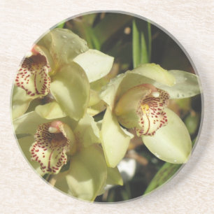 Cymbidium Orchids underlägg