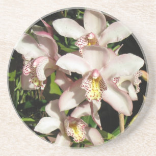 Cymbidium Orchids underlägg
