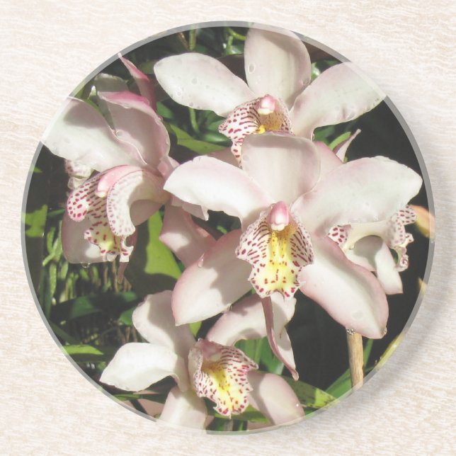 Cymbidium Orchids underlägg (Framsidan)