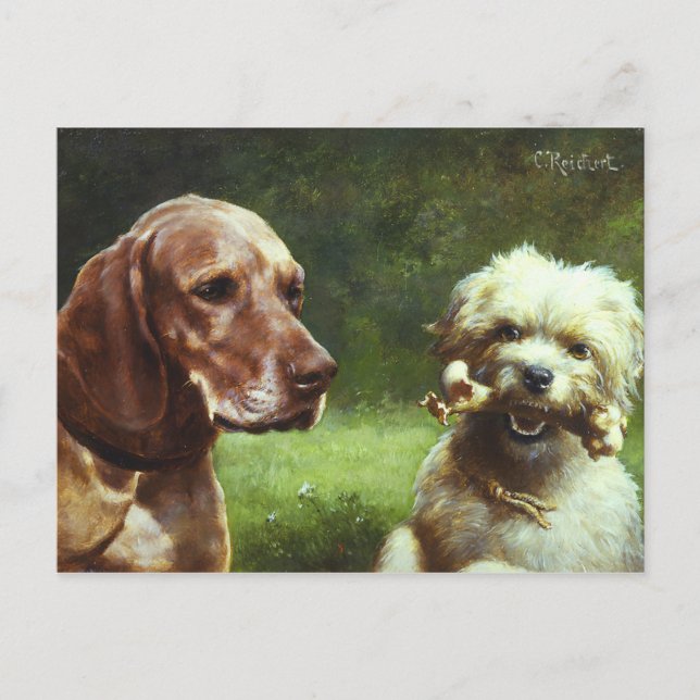 Cynic och Philosopher Vykort (Framsida)