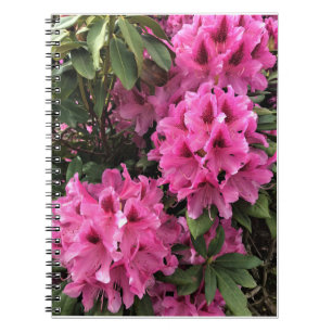 Cynthia Rhododendrons, Oregon Anteckningsbok