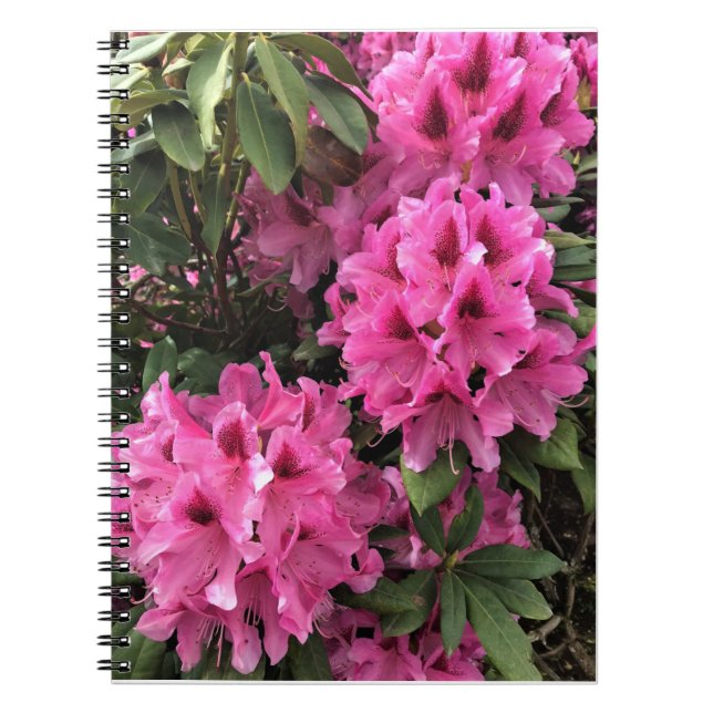 Cynthia Rhododendrons, Oregon Anteckningsbok (Framsidan)