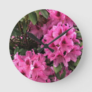 Cynthia Rhododendrons, Oregon Rund Klocka