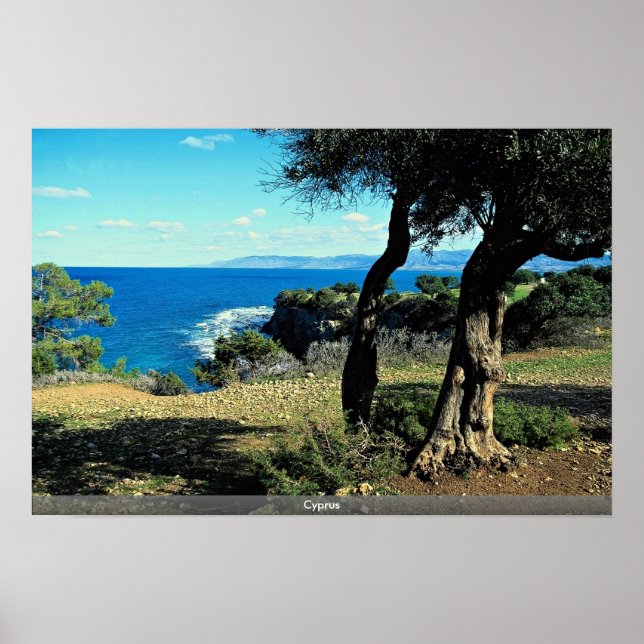 Cypern Poster (Framsidan)