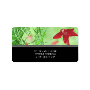 Cyperns vinproducerande Adressetiketter